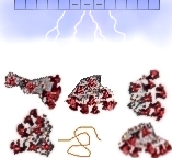 ions