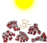 sunlight