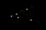 Phoenix 1